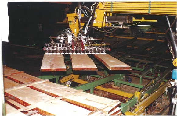 Manipolatore manuale/automatico segatronchi 4